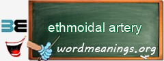 WordMeaning blackboard for ethmoidal artery